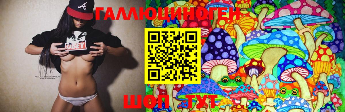 Псилоцибиновые грибы Psilocybe Нарьян-Мар