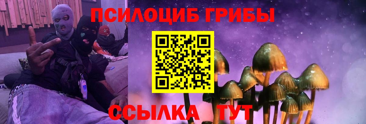 купить   Галлюциногенные грибы GOLDEN TEACHER  Вход с VPN  Нарьян-Мар 